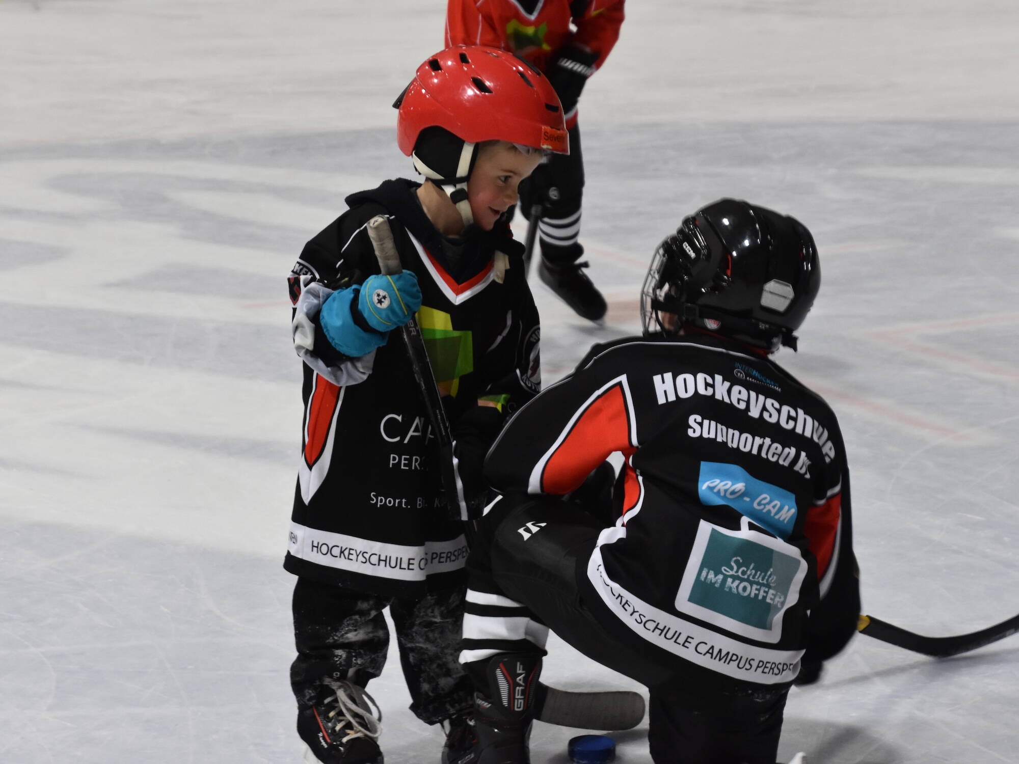 bild_hockeyschule_huttwil1_w2025.jpeg bild_hockeyschule_huttwil1_w2025.jpeg