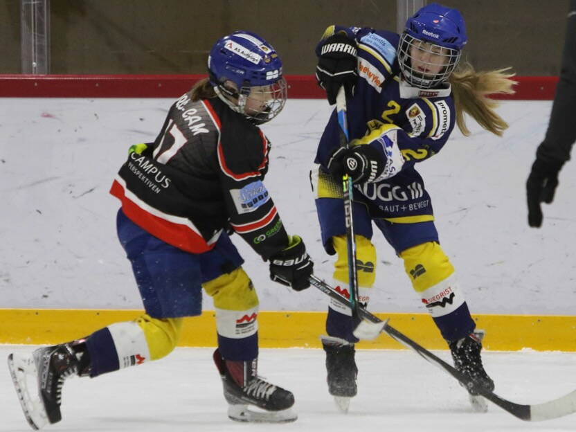 bild_eishockey_damen_w2025.jpeg bild_eishockey_damen_w2025.jpeg